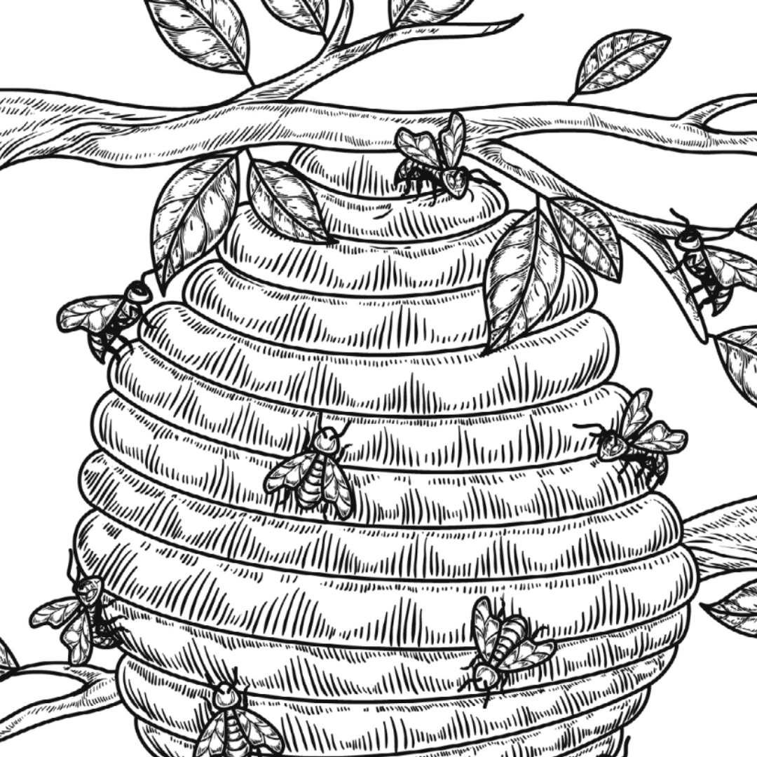 Beehive