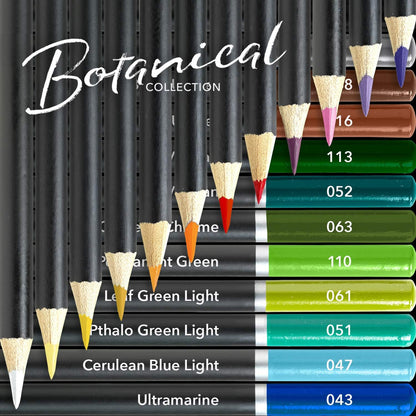 Pacchetto tavolozza di matite colorate botaniche e paesaggi marini da 48 pezzi